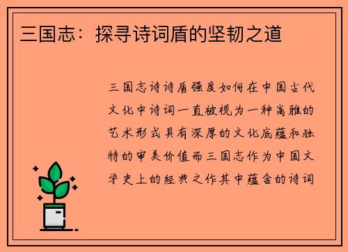 三国志：探寻诗词盾的坚韧之道